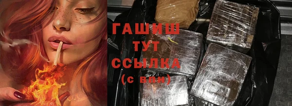 эйфоретик Арсеньев
