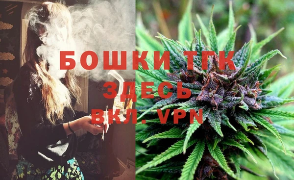 эйфоретик Арсеньев