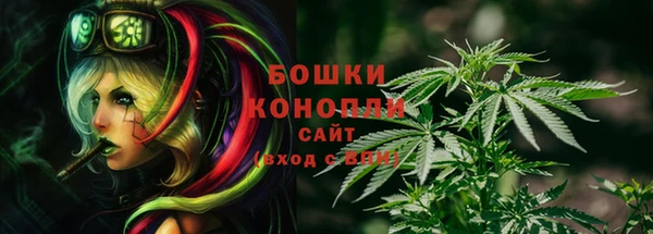 эйфоретик Арсеньев