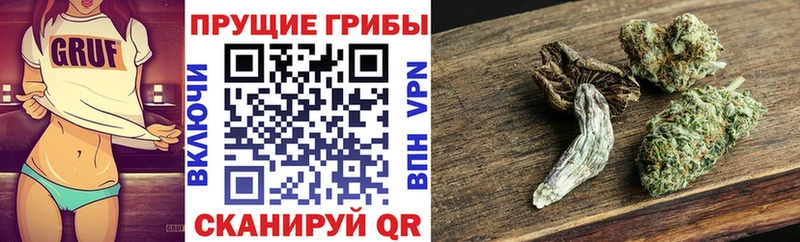 закладка  Владимир  Галлюциногенные грибы мицелий 