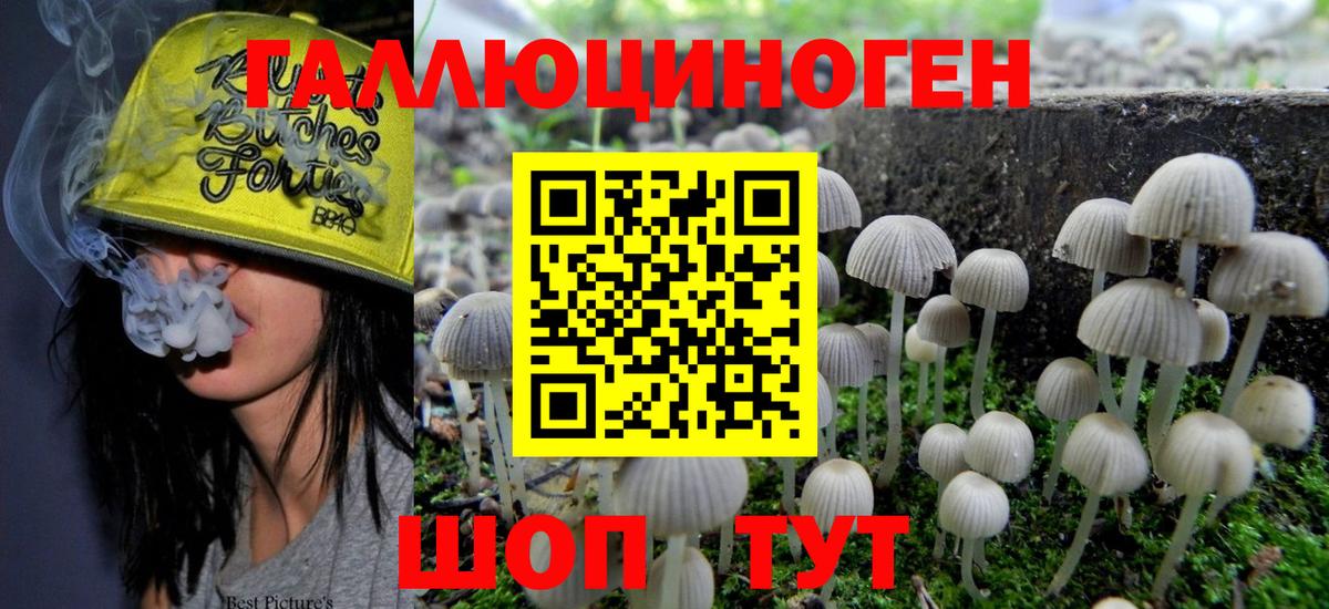 Владимир  Галлюциногенные грибы мухоморы  закладки  Вход с VPN 