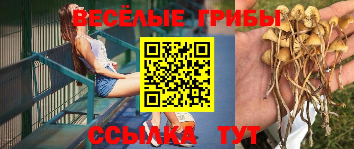 Псилоцибиновые грибы мухоморы Владимир