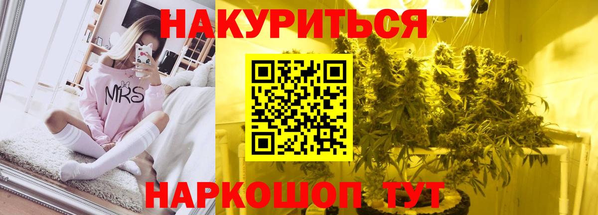 Бошки марихуана сатива Владимир